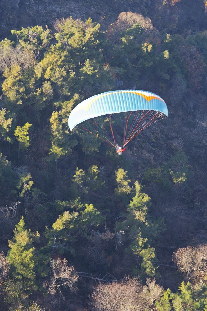 D18_6157.jpg