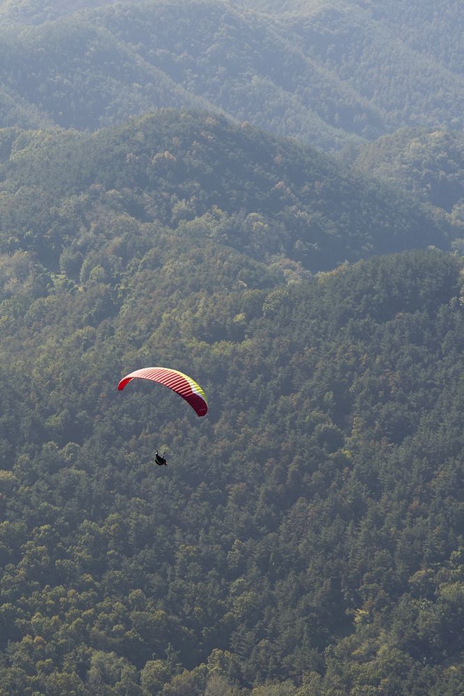 D18_5069.jpg