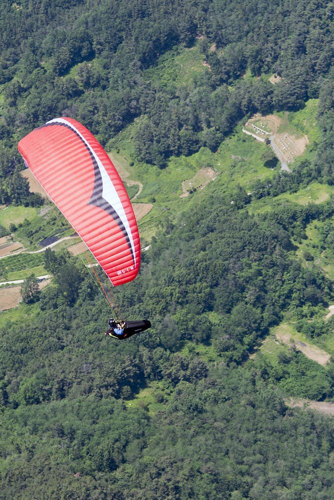 DSC_0429.jpg