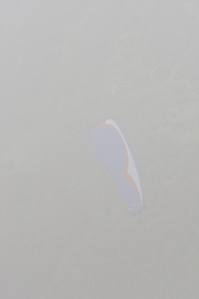 DSC_9865.jpg