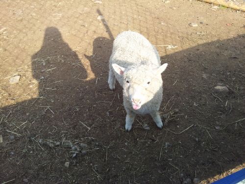 20130421_163219.jpg