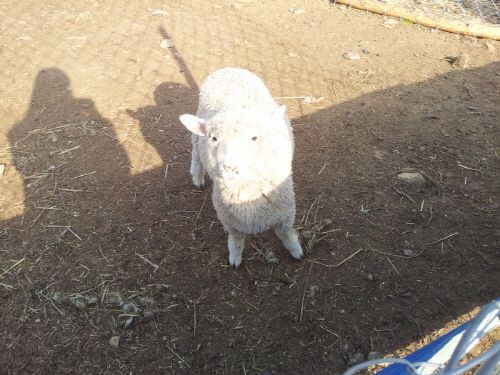20130421_163212.jpg