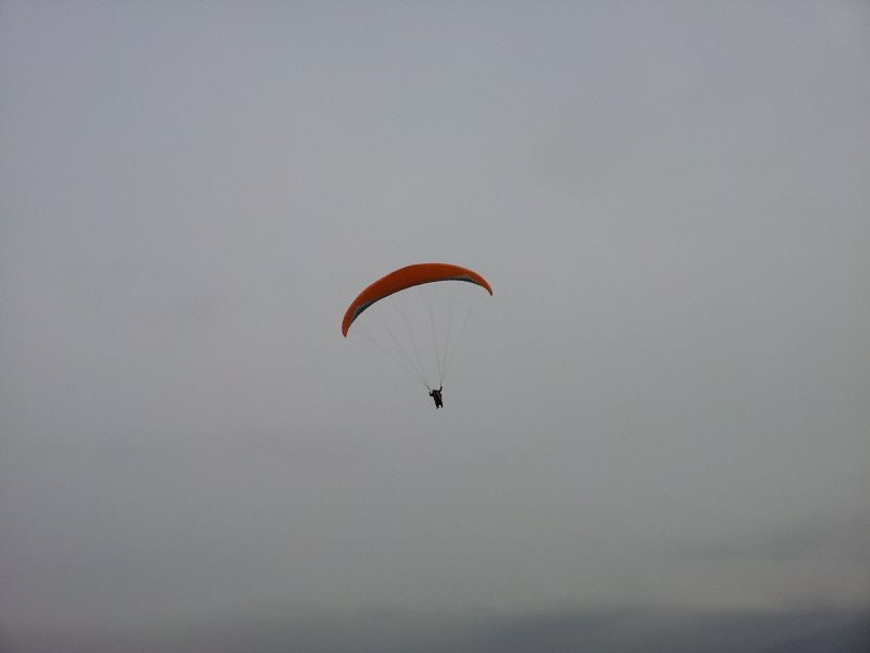 2012-01-21 11.57.06.jpg