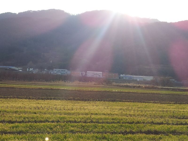 2012-01-15 15.53.08.jpg