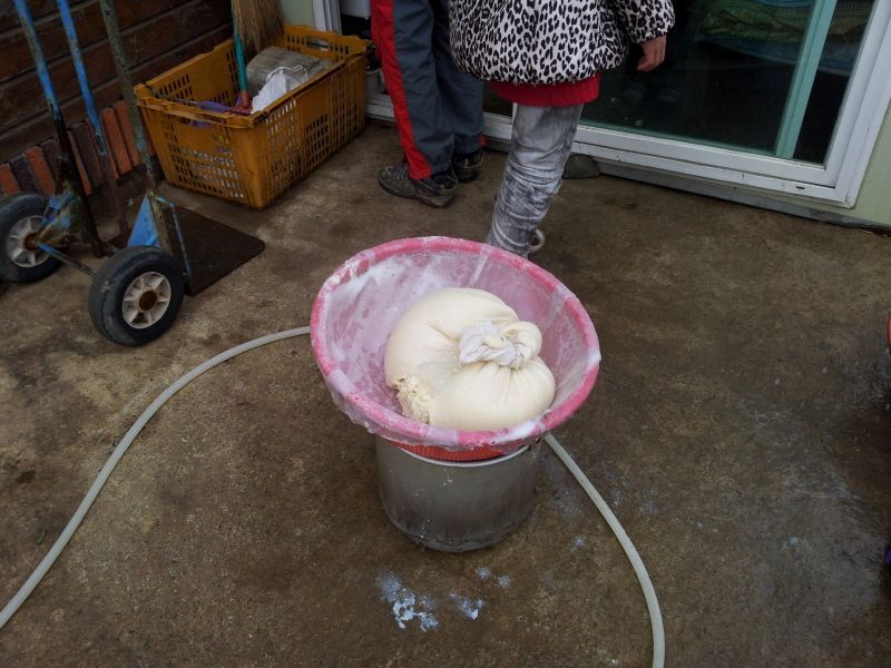 2012-01-21 16.16.03.jpg