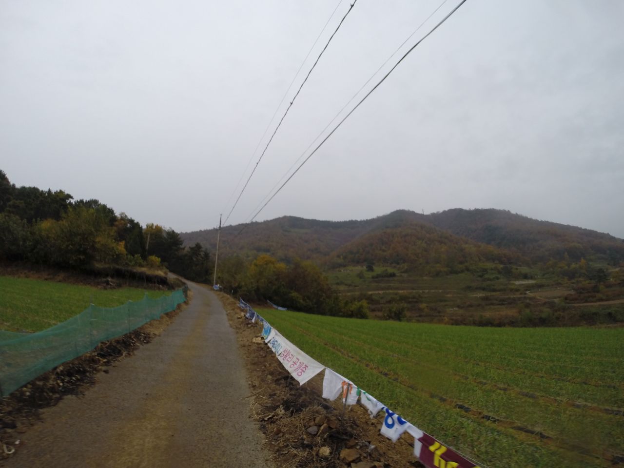 G0033017.JPG