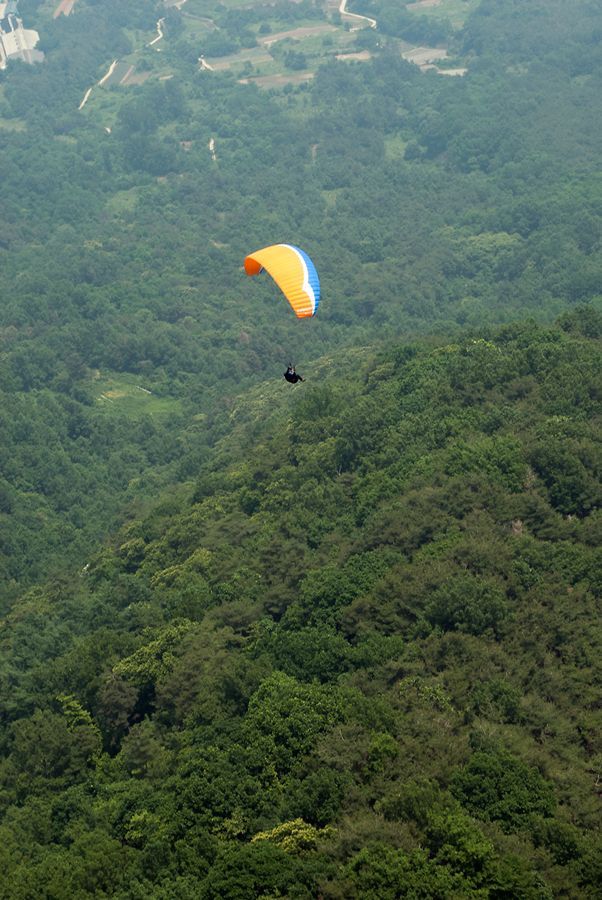 _D129484.jpg