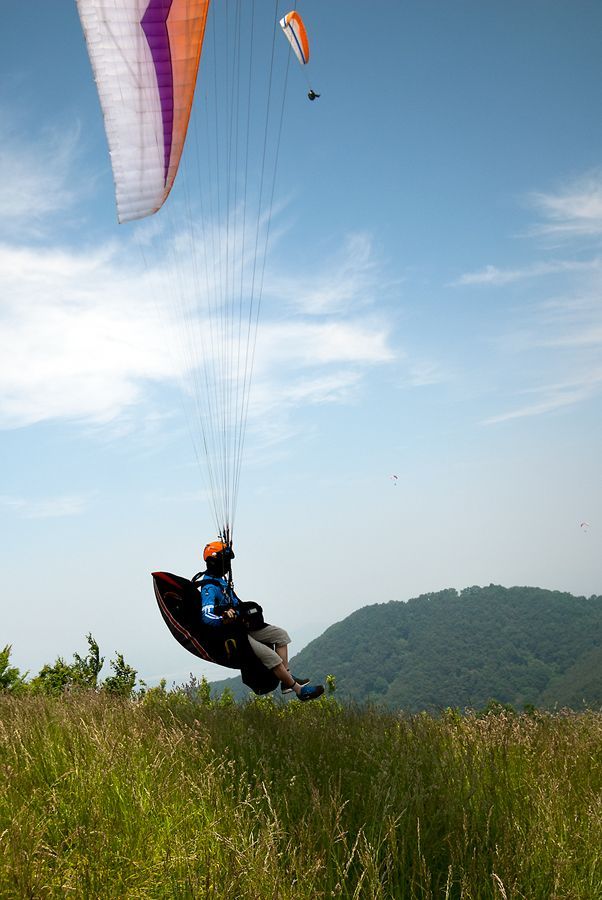 _D129420.jpg