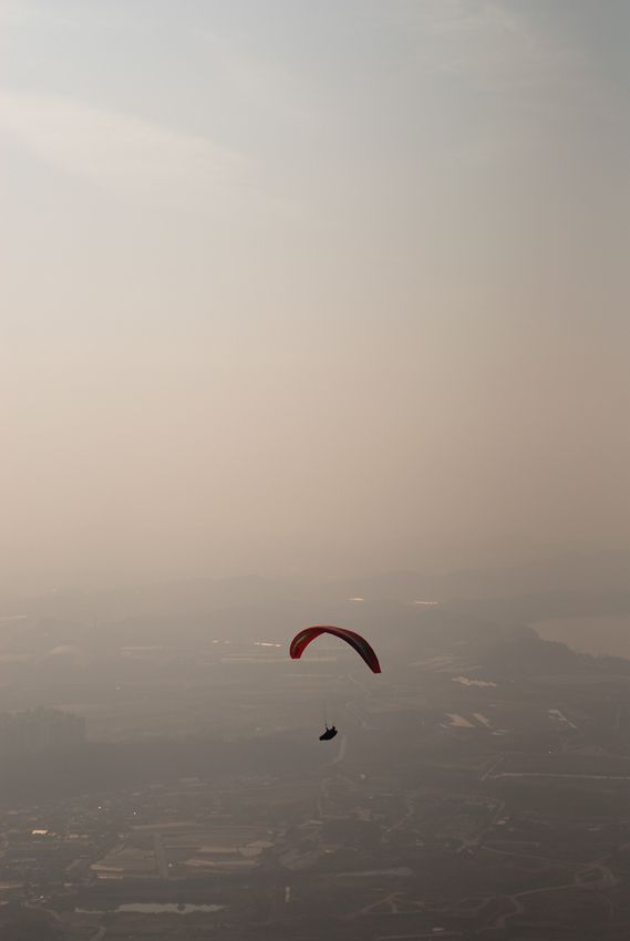 _D133813.jpg