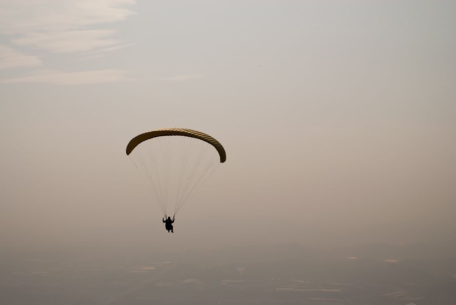 _D133854.jpg