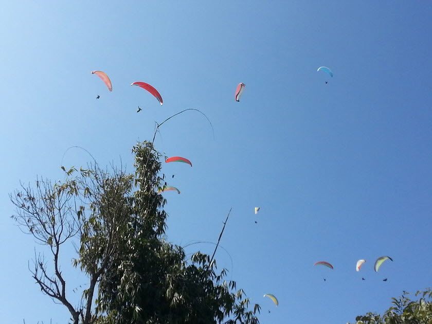 20140116_120631.jpg