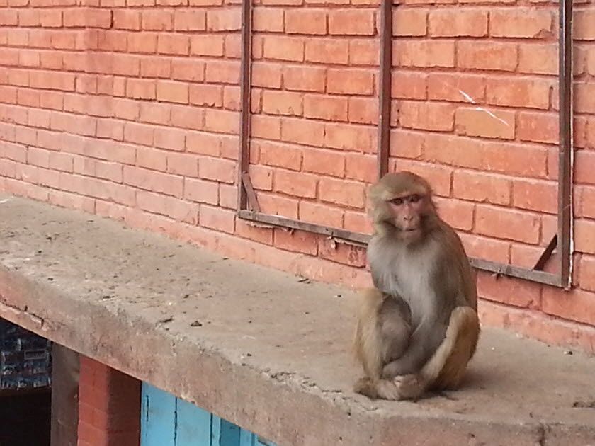 20140118_115604.jpg