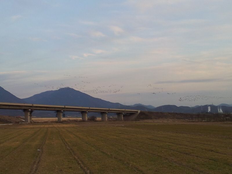 2012-02-12 17.47.06.jpg