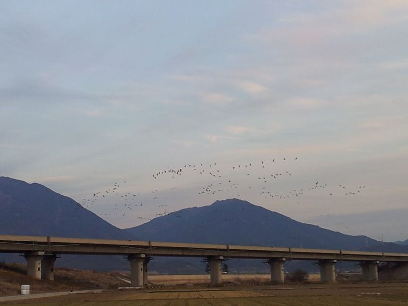 2012-02-12 17.49.01.jpg