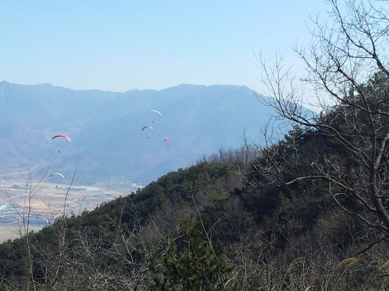 2012-02-12 11.55.06.jpg