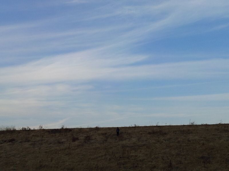 2012-02-12 17.08.48.jpg