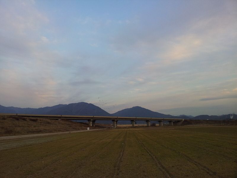 2012-02-12 17.49.07.jpg