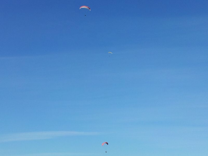 2012-02-12 14.17.43.jpg