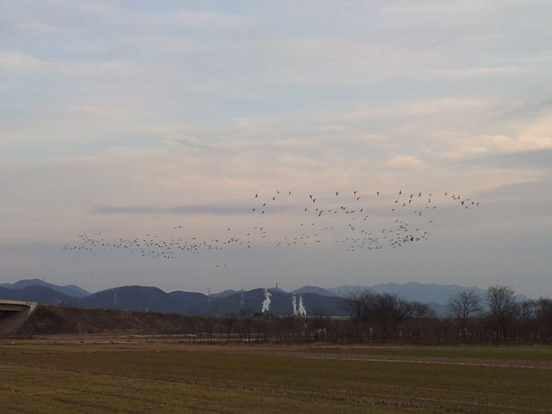2012-02-12 17.47.19.jpg
