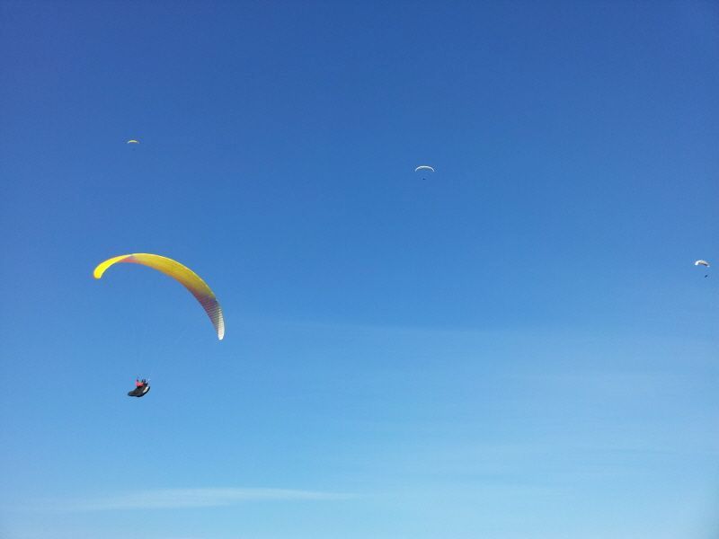 2012-02-12 14.21.19.jpg