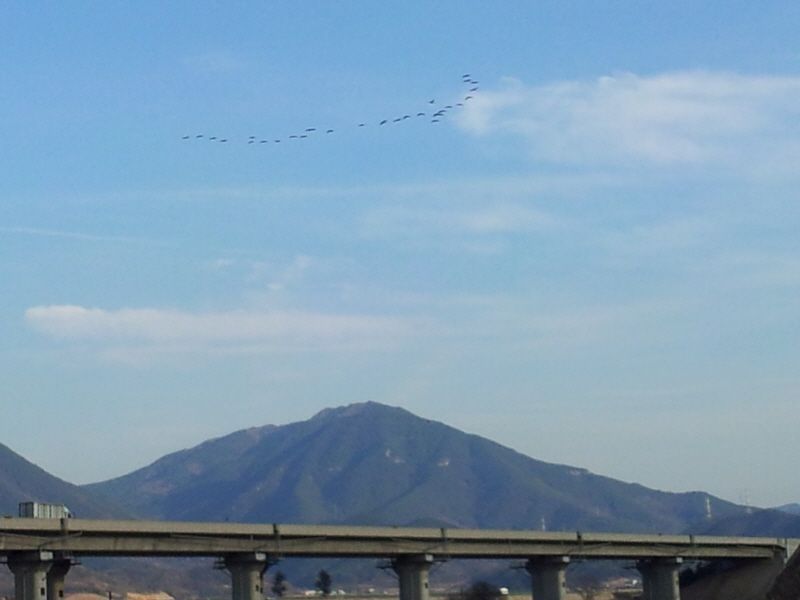 2012-02-12 16.28.32.jpg