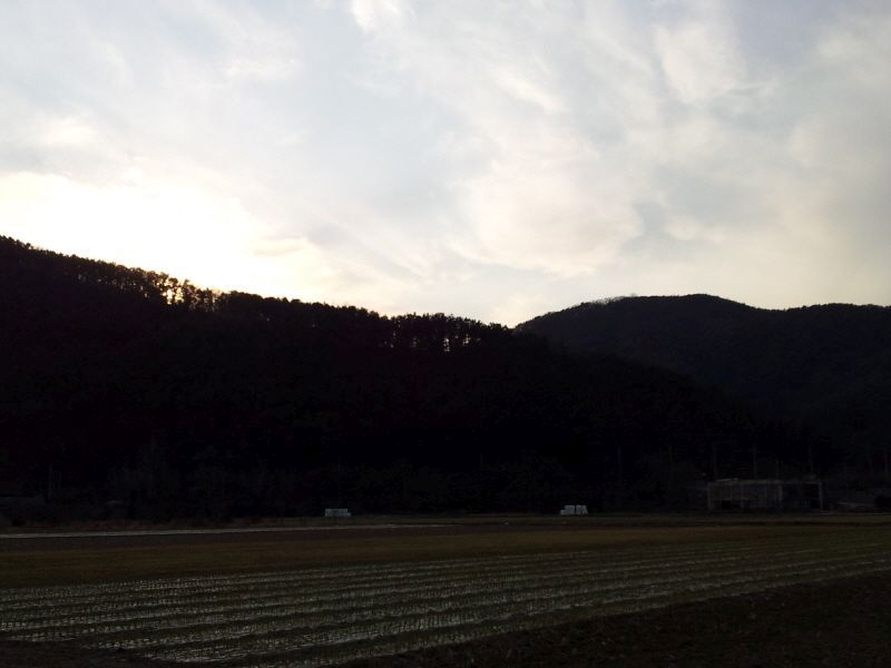 2012-02-12 17.03.54.jpg
