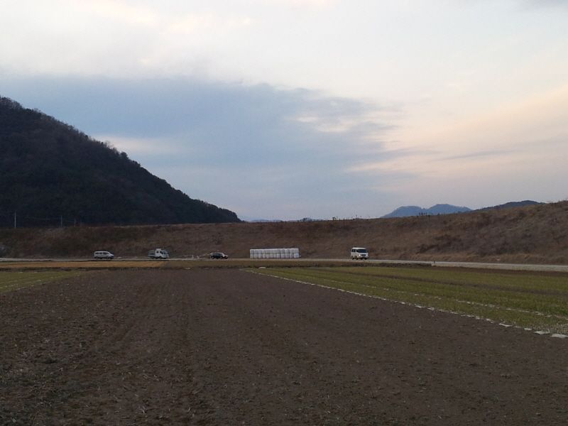 2012-02-12 17.51.17.jpg