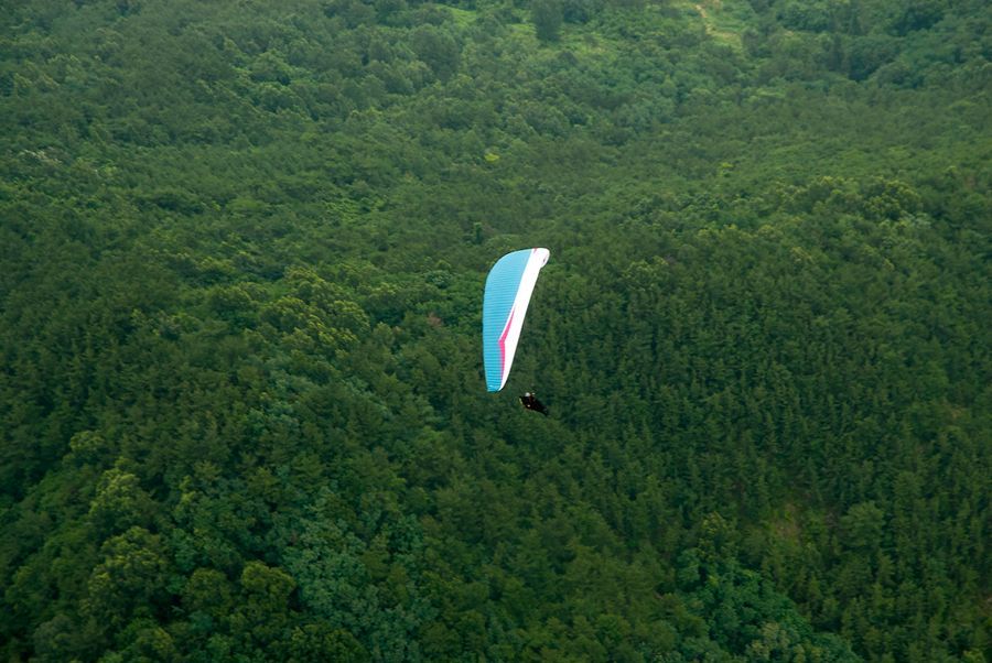 _D130982.jpg
