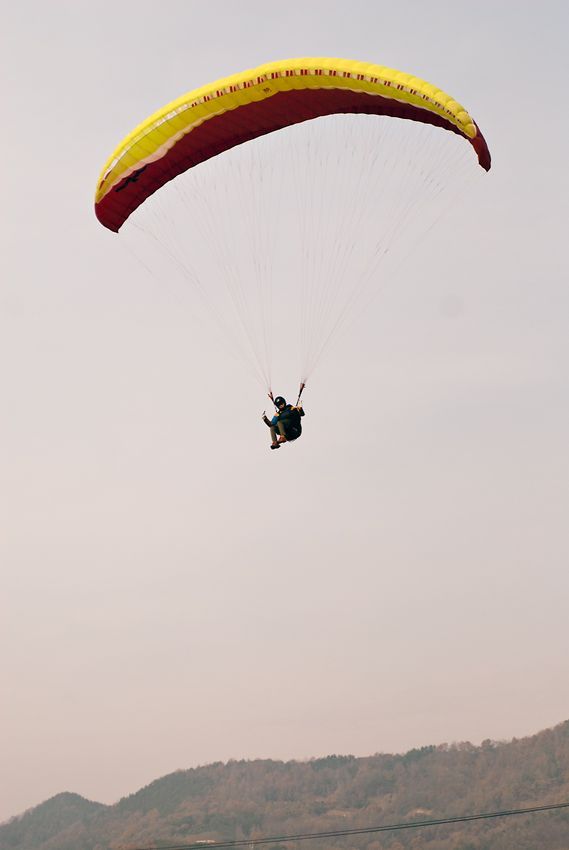 _D133996.jpg