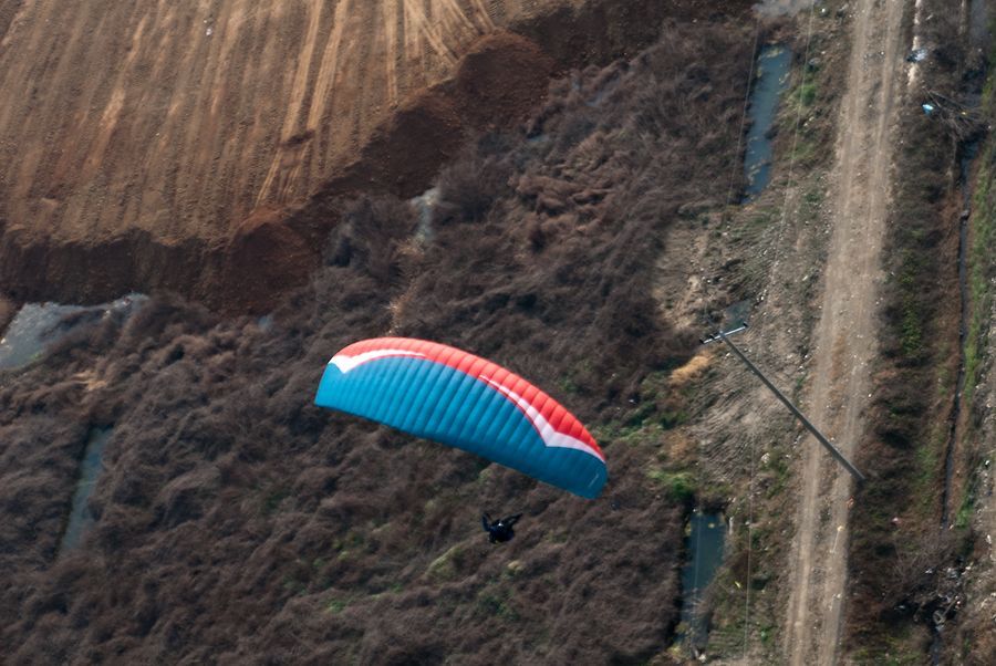 _D133973.jpg