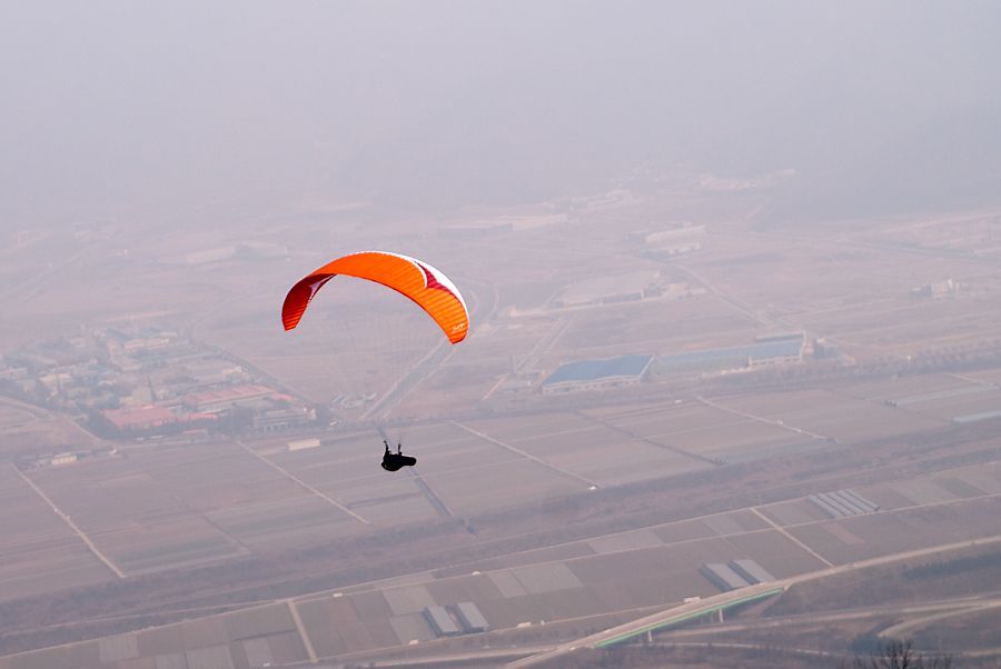 _D133911.jpg