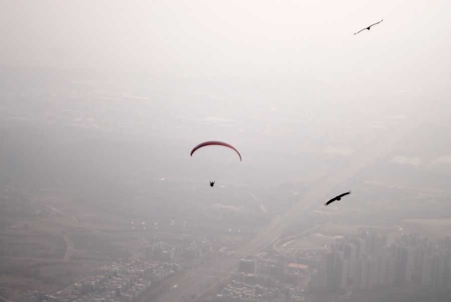 _D133947.jpg