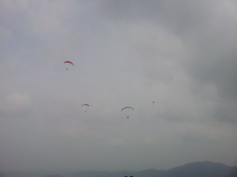 20120624_144726.jpg