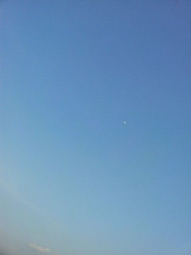 20130421_181735.jpg