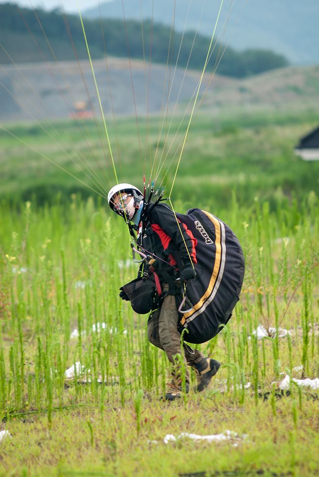 _D131082.jpg