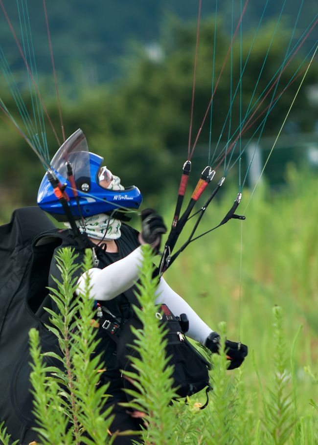 _D131072.jpg