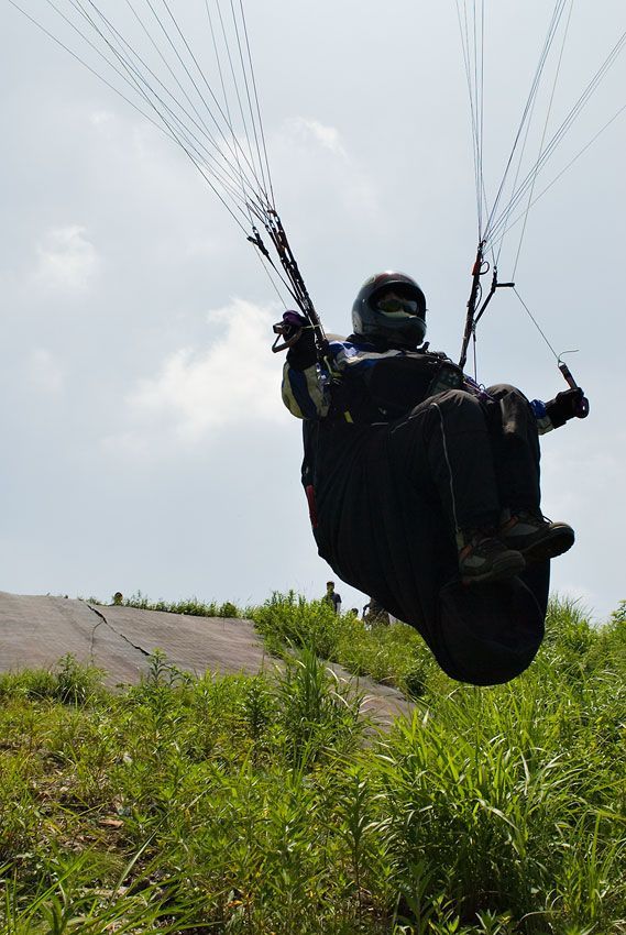 _D120126.jpg