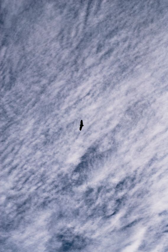 _D134465.jpg