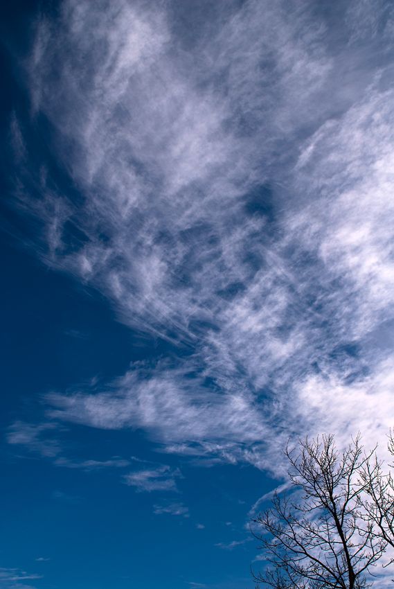 _D134475.jpg