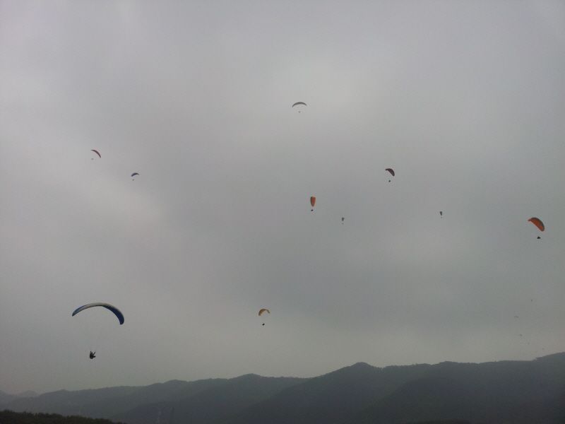2012-05-12 13.14.14.jpg
