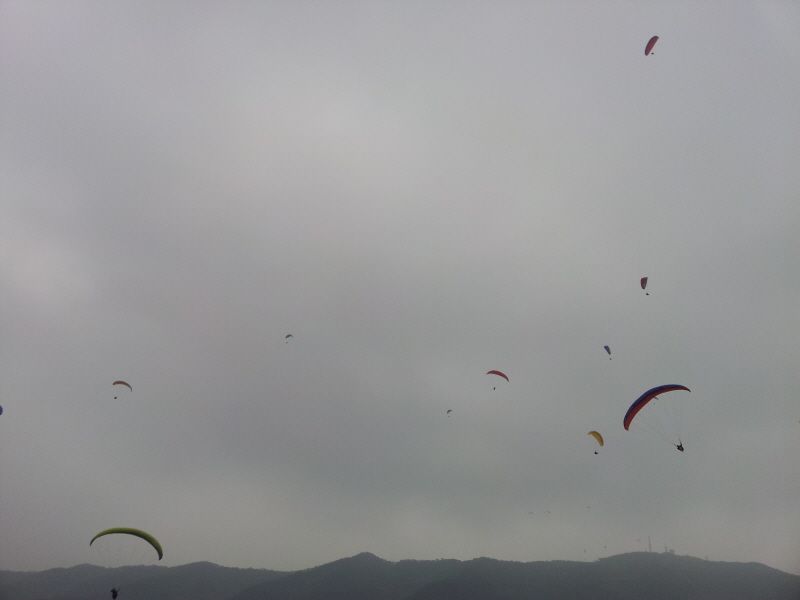 2012-05-12 13.13.39.jpg