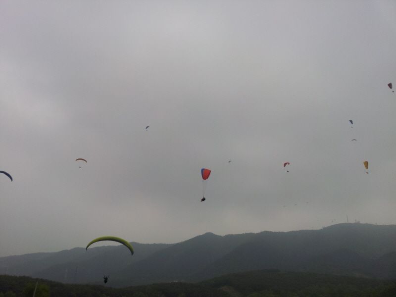 2012-05-12 13.13.44.jpg
