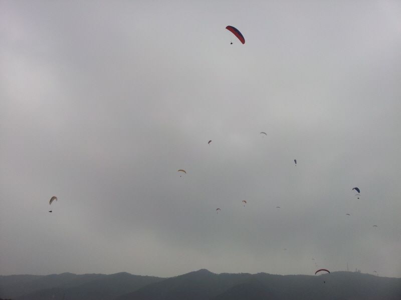 2012-05-12 13.11.59.jpg