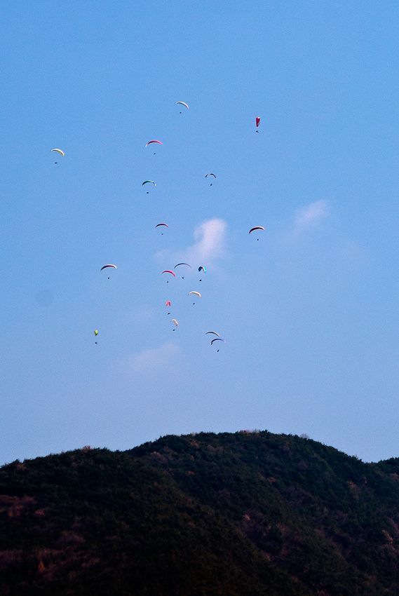 _D134100.jpg