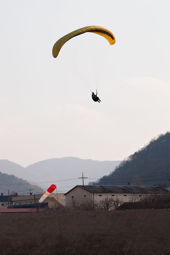 _D134109.jpg