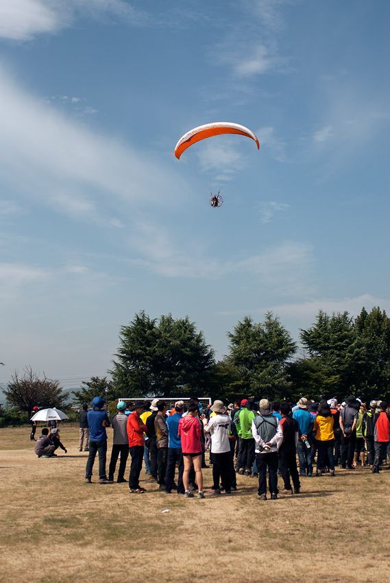 _D132050.jpg