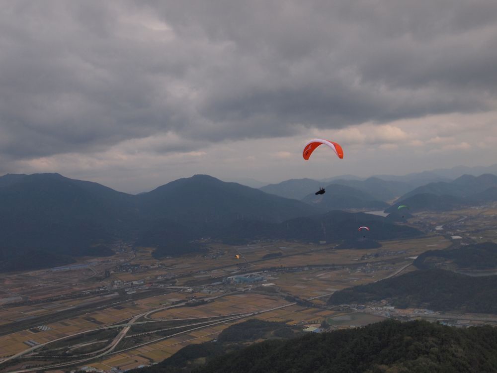 P1019516.JPG