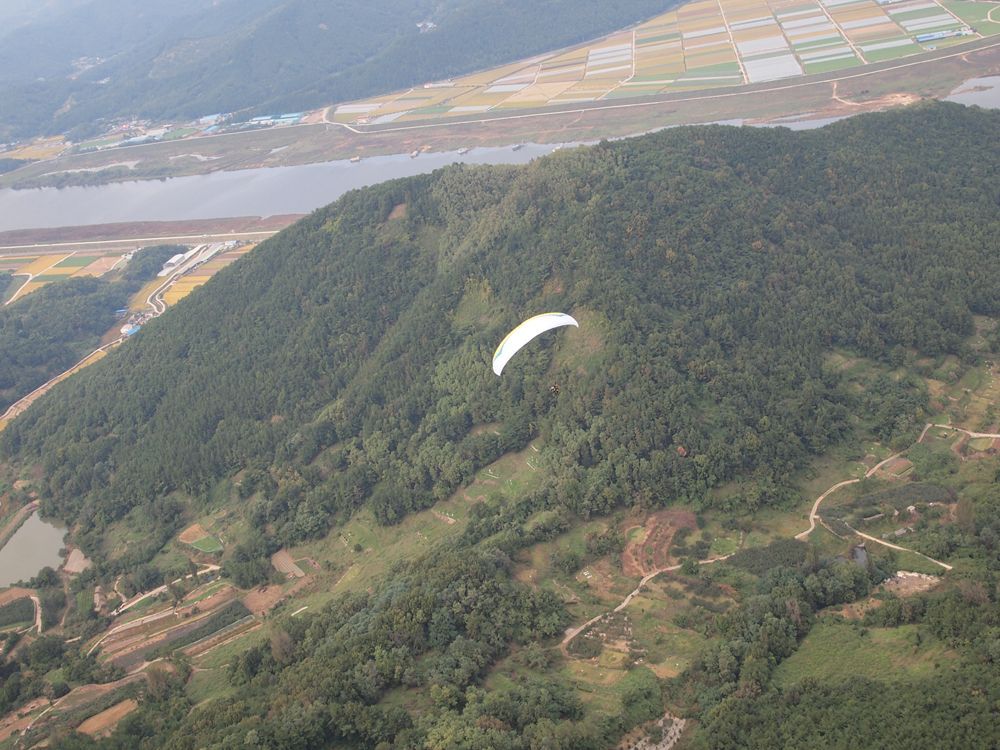 P1019515.JPG