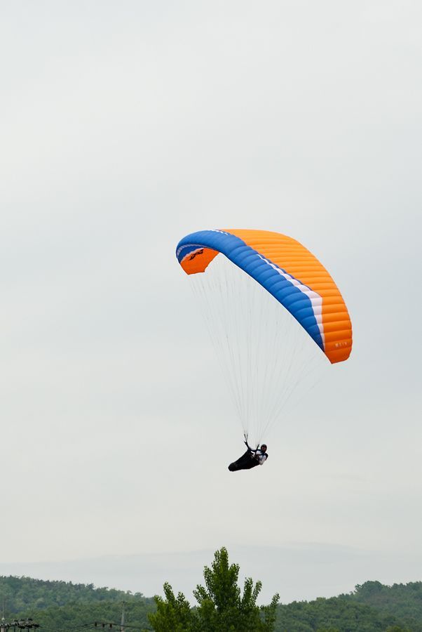 _D128696.jpg