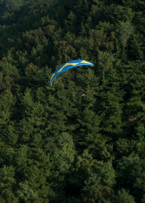 _D132584.jpg